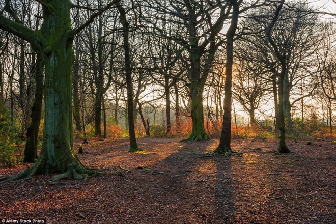 Cảnh đẹp m&ugrave;a thu nước Anh